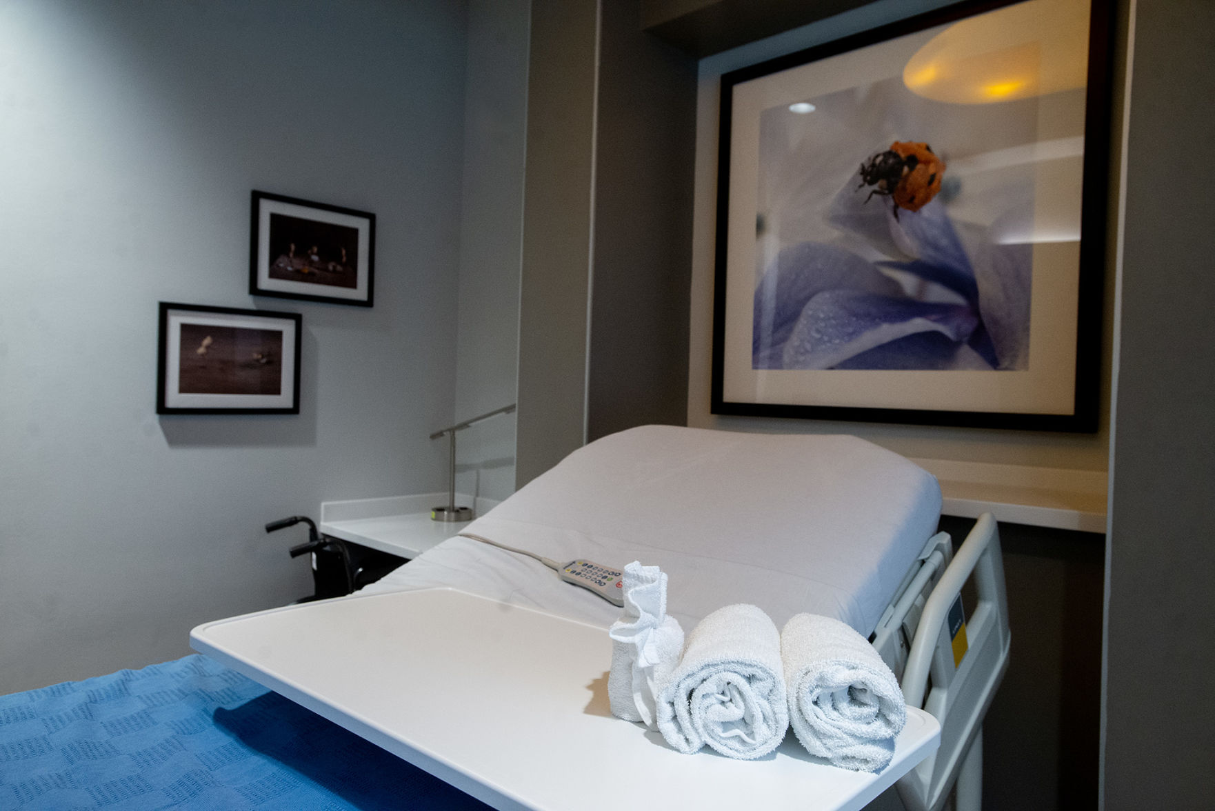 Everest Rehabilitation Hospital